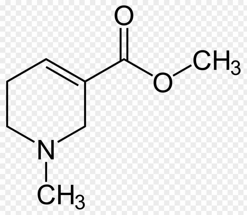 Betel Methyl Benzoate Benzoic Acid Methoxy Group Ethyl PNG