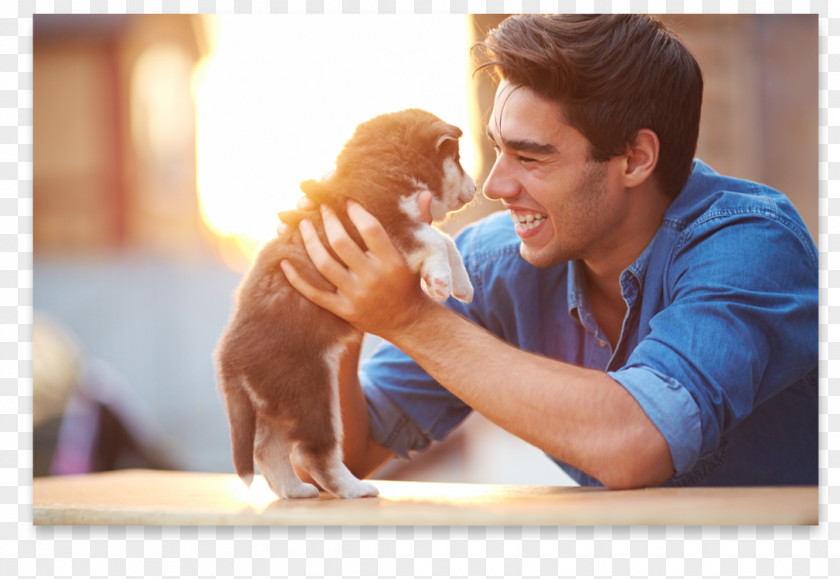 Dog PetSmart Cat Puppy PNG