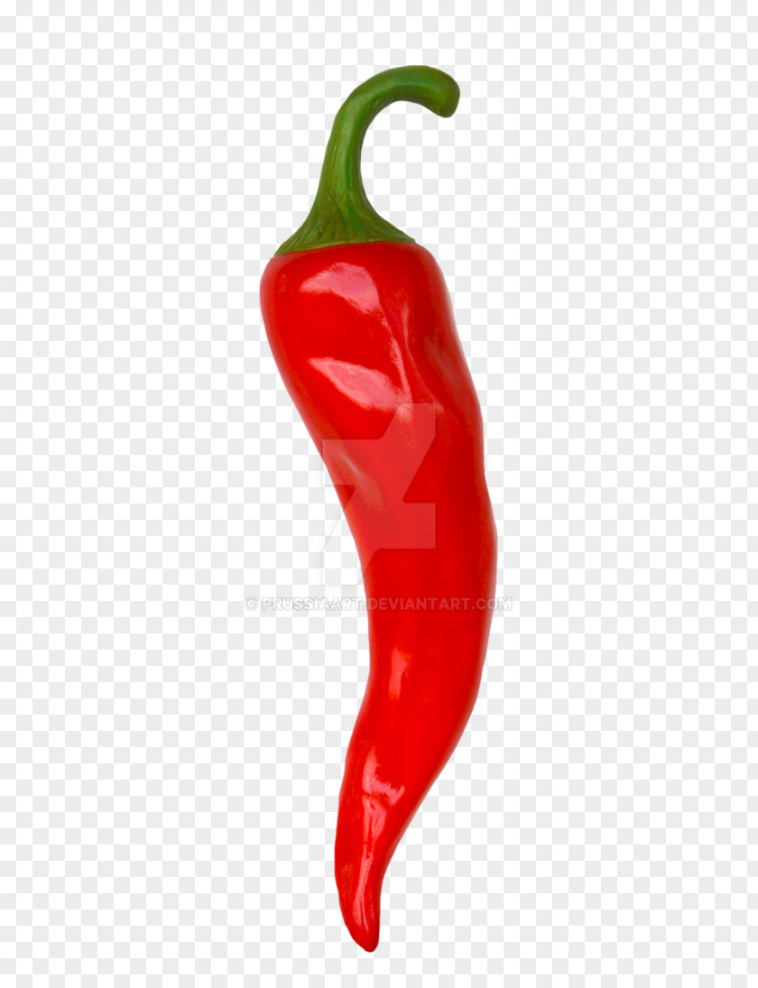 Jalapeno Bell Pepper Chili Mexican Cuisine Vegetable Food PNG