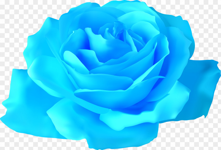 Rose Flower Drawing Clip Art PNG
