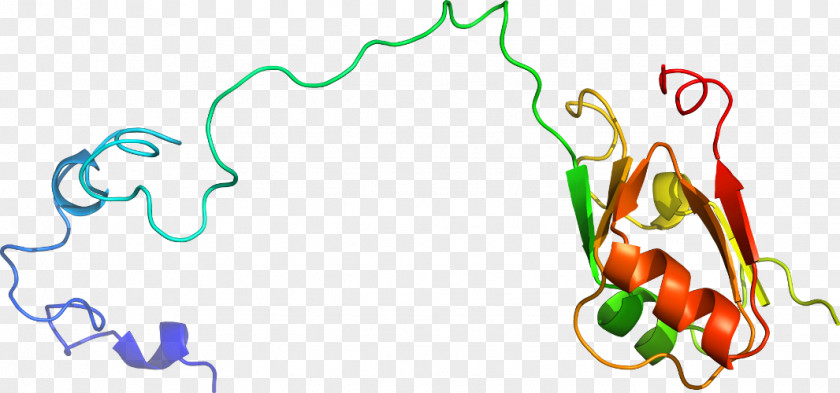 Vegetable Clip Art Organism Line PNG