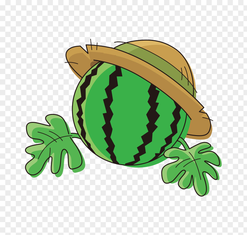 Watermelon Poster Illustration PNG