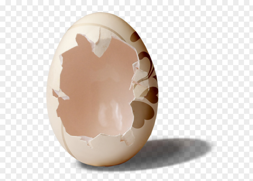 Broken Egg Shell Easter Chicken PNG