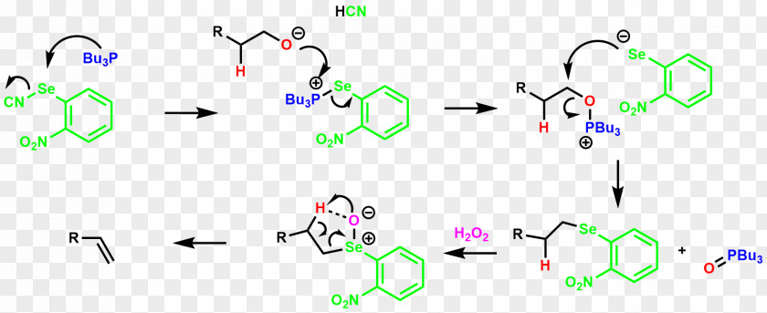 Mechanism Elimination Reaction Grieco Selenoxide Ei Dehydration PNG