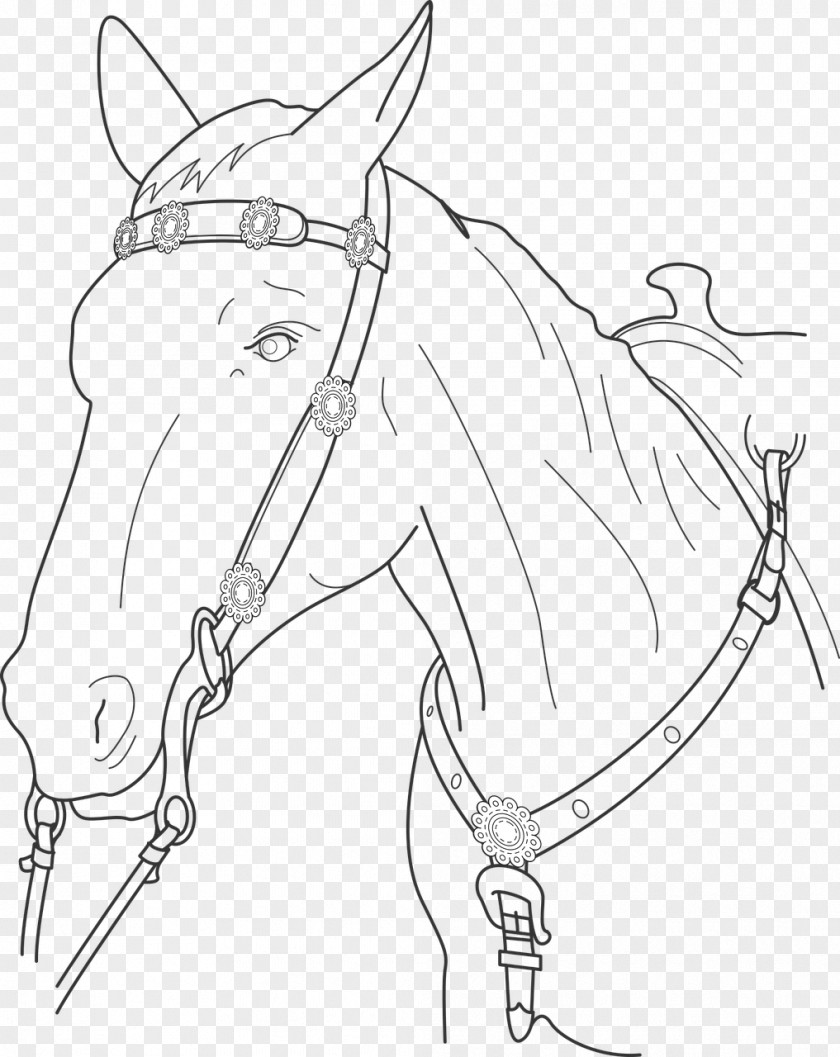 Mustang Mule Bridle Pet Drawing PNG