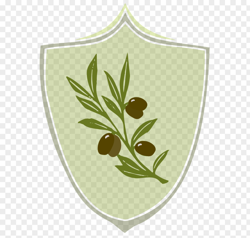 Olive Coat Of Arms Clothing Symbol Clip Art PNG