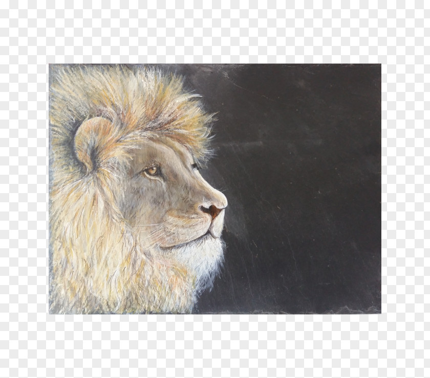 Painting East African Lion Art Museum Watercolor PNG