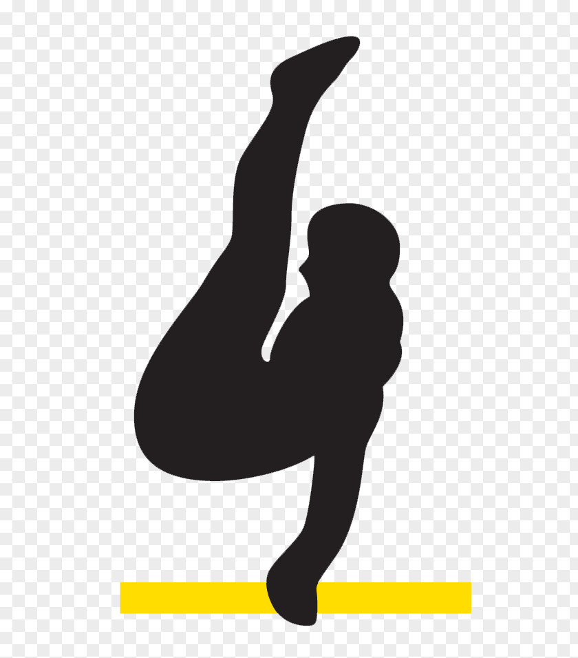 Pilates Barre Aerobic Gymnastics Physical Fitness Artistic Clip Art PNG