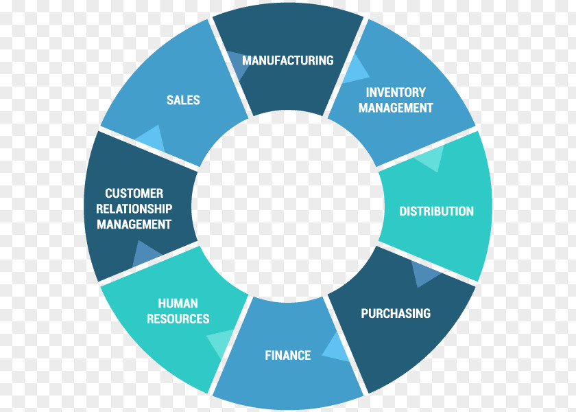 Vector Diagram Ai Enterprise Resource Planning Graphics Business Infographic Oracle Hyperion PNG