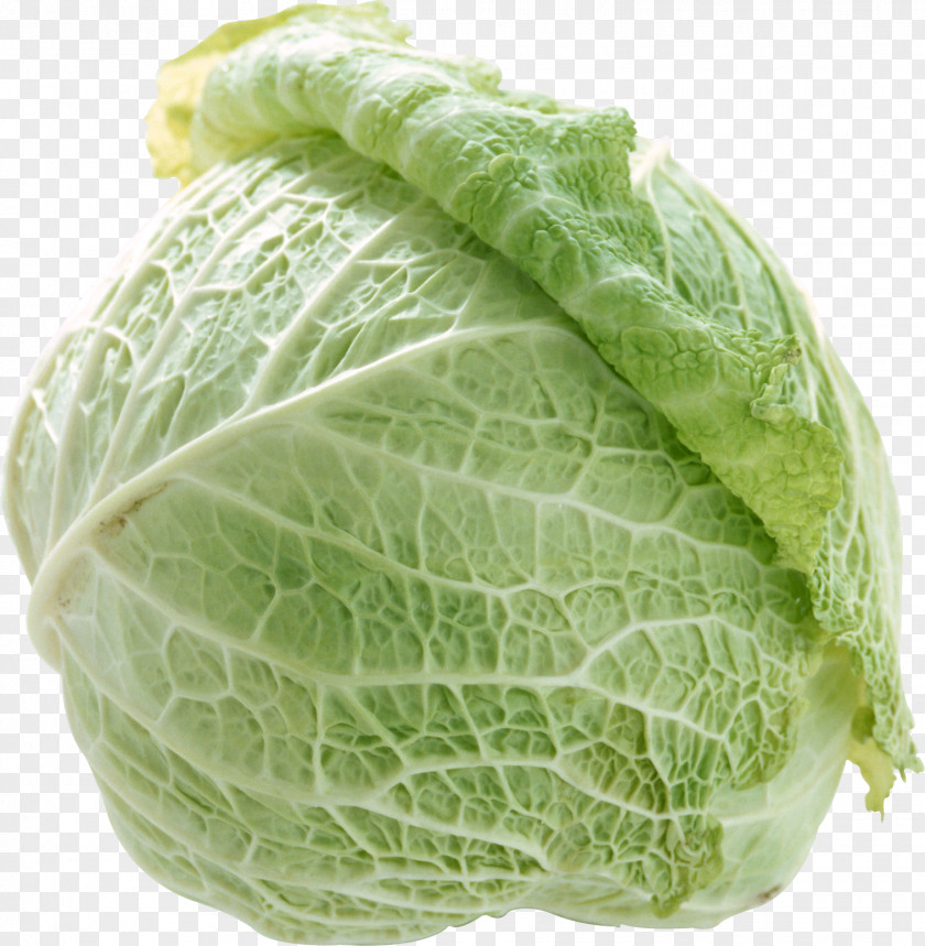Cabbage Image Cauliflower Savoy Marrow-stem Kale Spring Greens Romaine Lettuce PNG