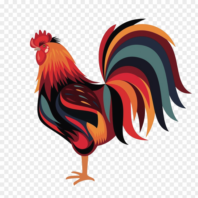 Cartoon Big Tail Cock Wyandotte Chicken Rooster Zazzle Download PNG