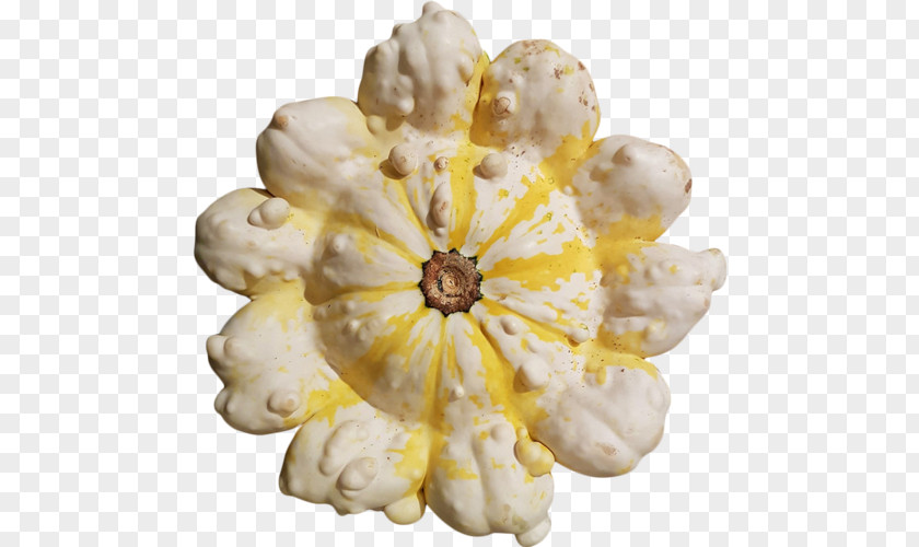 Cut Flowers Petal Fruit PNG