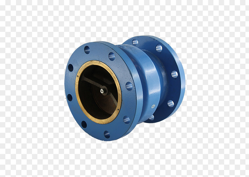 Double Check Valve Flange Ball Gate PNG