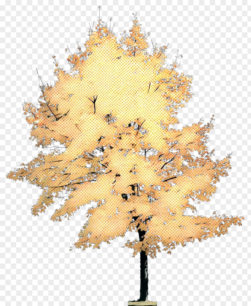 Pine Family Interior Design Tree PNG