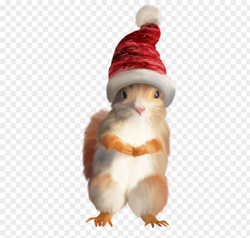 Squirrel Santa Claus Christmas Tree Ornament PNG