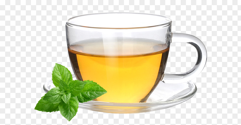 Tea Earl Grey Coffee Cup Green Mate Cocido PNG