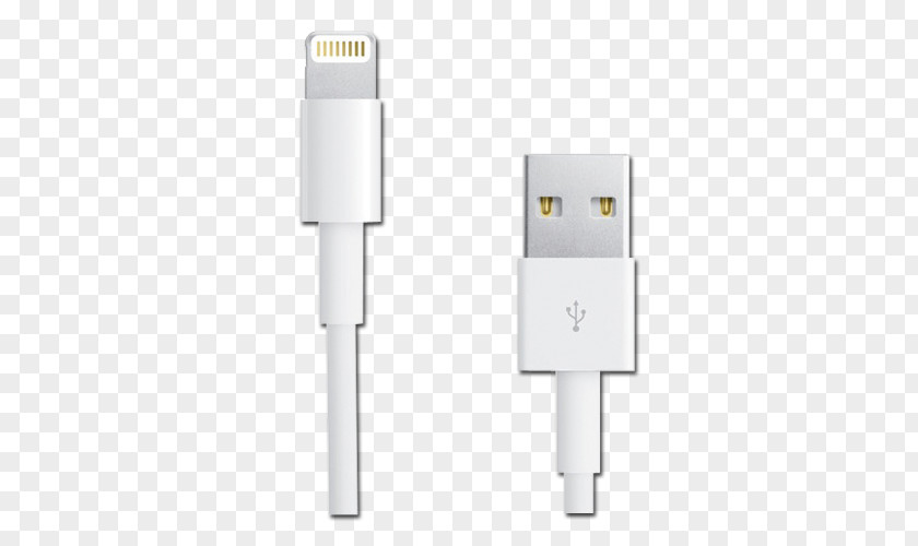 Cable Plug Electrical IPhone 5s IPad Mini 5c PNG
