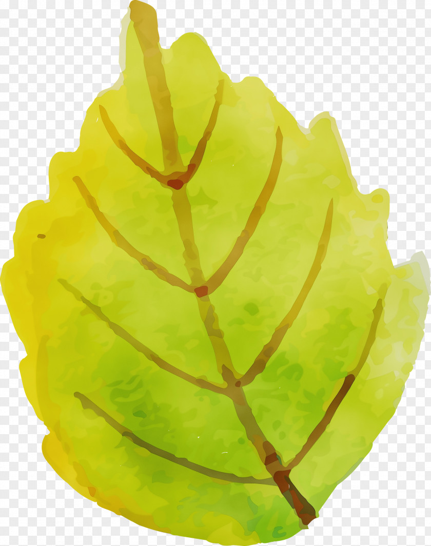 Carambola Leaf Yellow Plant Structure Plants PNG