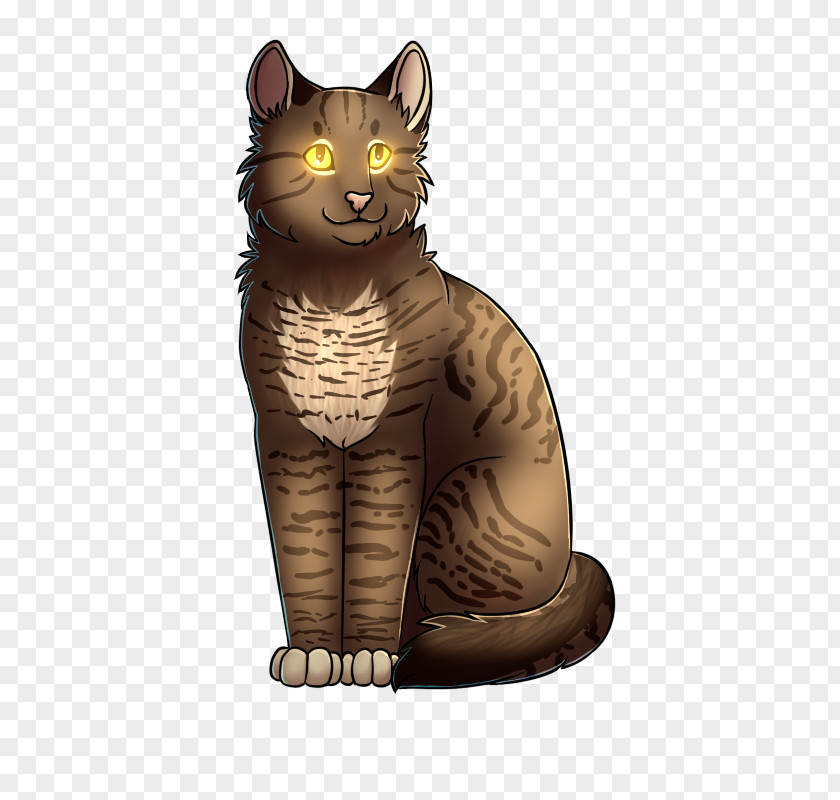 Cat Whiskers Warriors Tabby Sootfur PNG