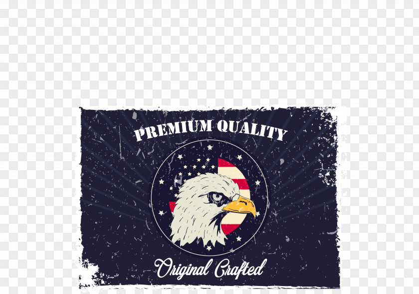 Eagle's Vector Poster PNG