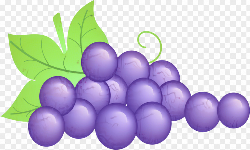 Flower Berry Grape Leaf PNG