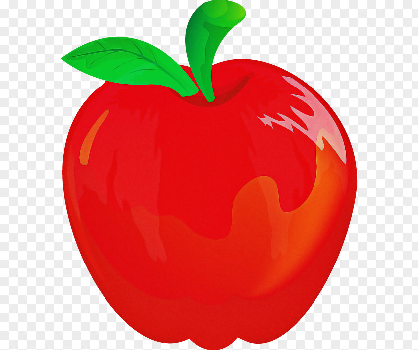 Fruit Red Apple Plant Mcintosh PNG