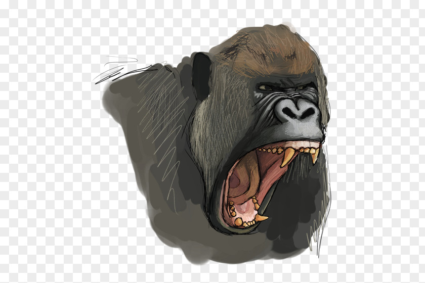 Gorilla Painting Common Chimpanzee Western Snout PNG