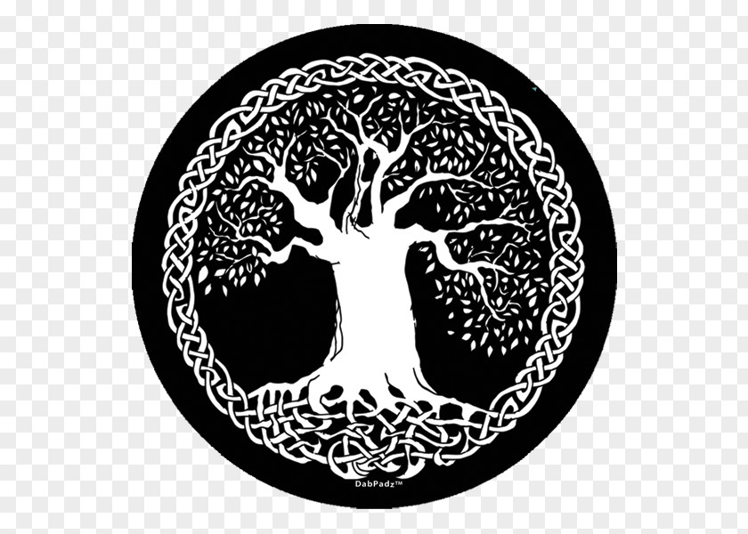 Life Tree Of Celts Celtic Knot Sacred Trees PNG