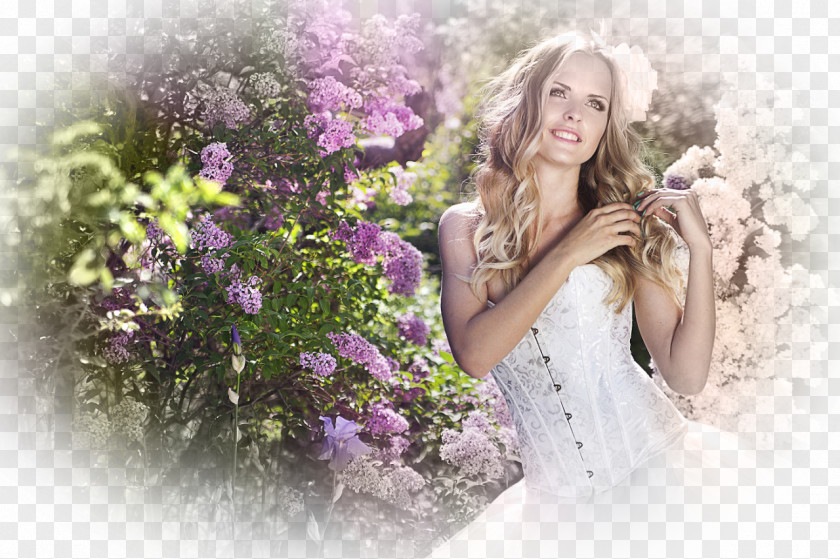 Lilac Stock Photography Royalty-free Bride PNG