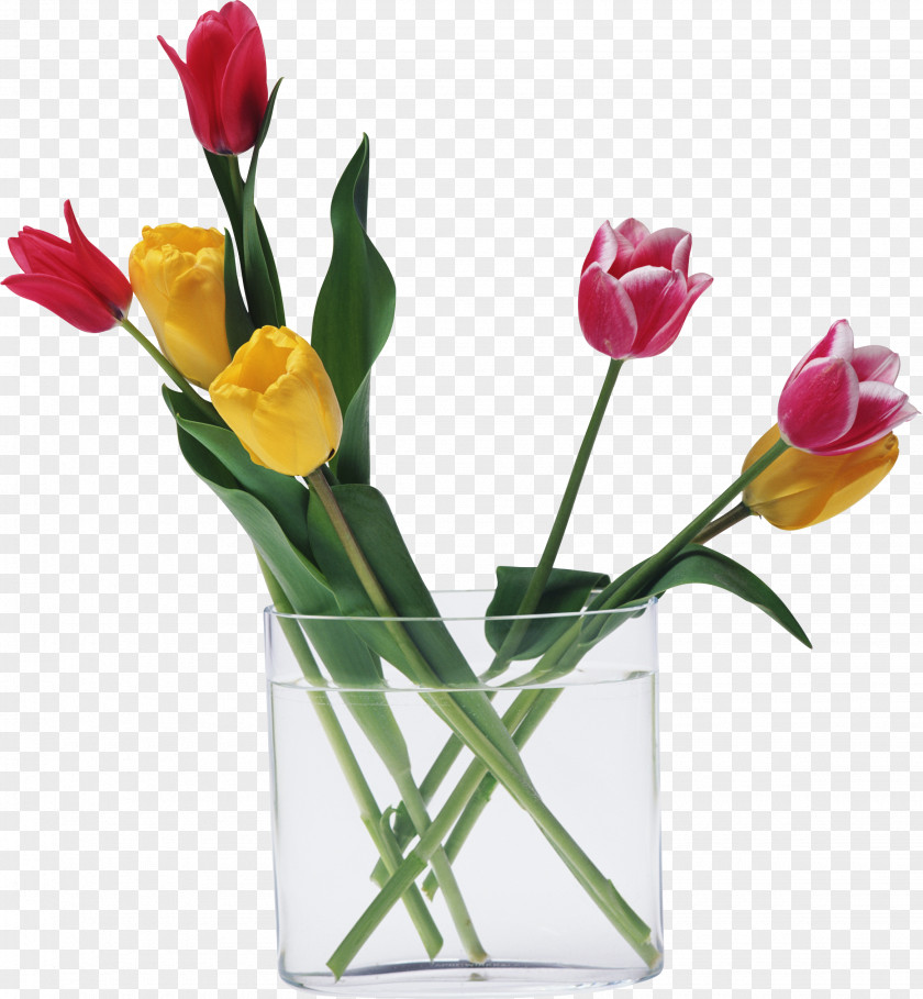 Water Lilies Cut Flowers Tulip Love Floristry PNG