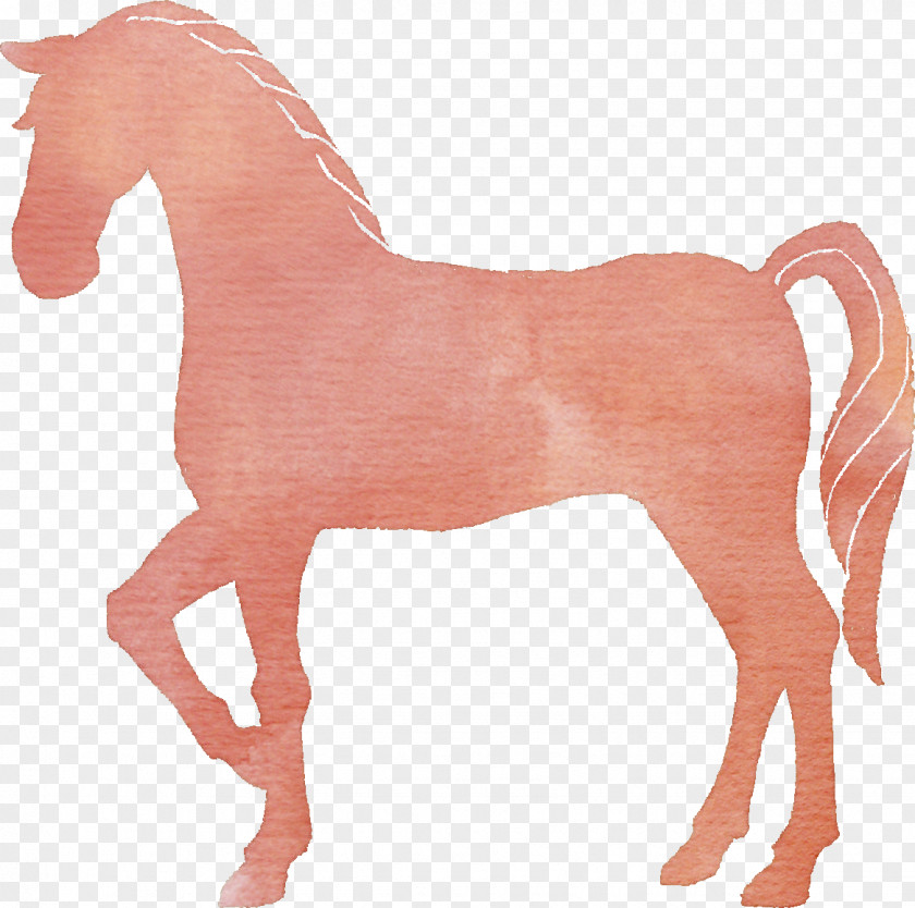 Akira Silhouette Acupuncture Therapy Medicine Mustang Surgery PNG
