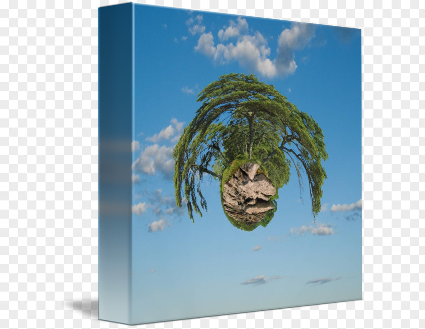 Float Island /m/02j71 Earth Tree Stock Photography PNG
