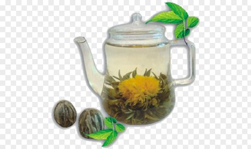 Green Tea Flowering Earl Grey Bubble PNG