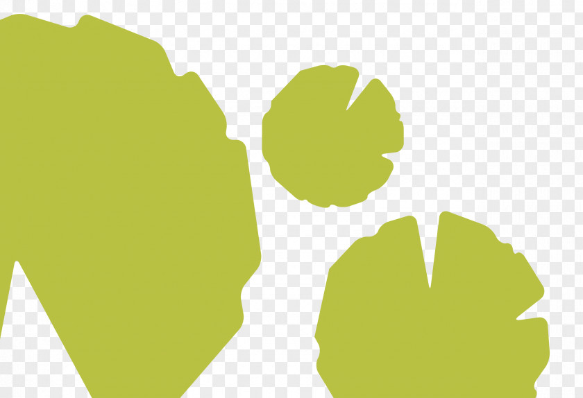 Leaf Desktop Wallpaper PNG