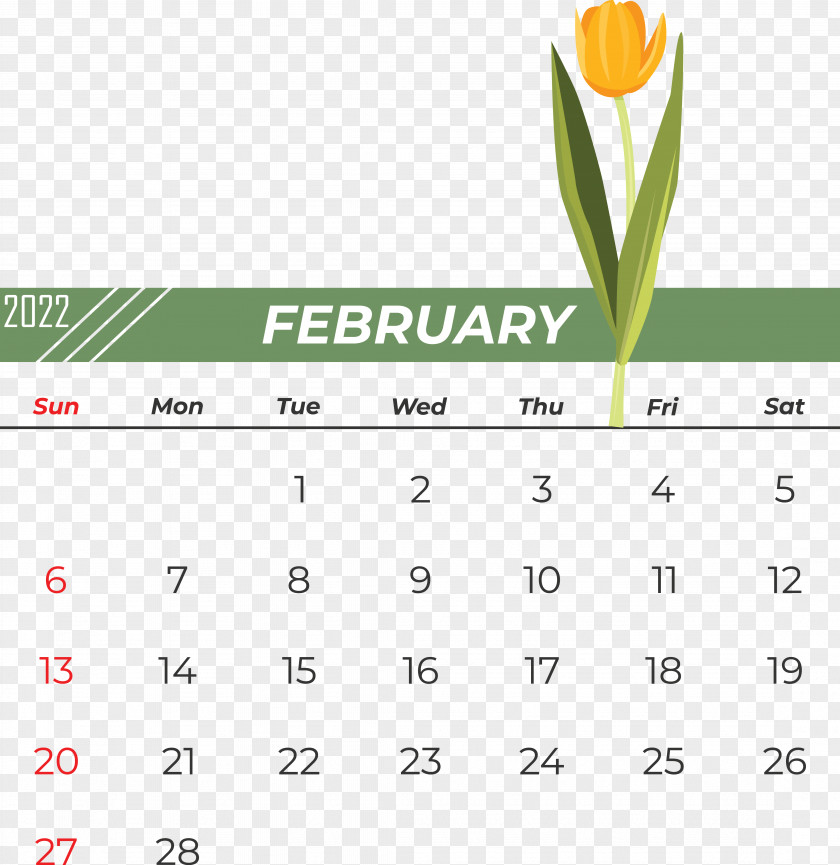 Logo Font Line Calendar Green PNG