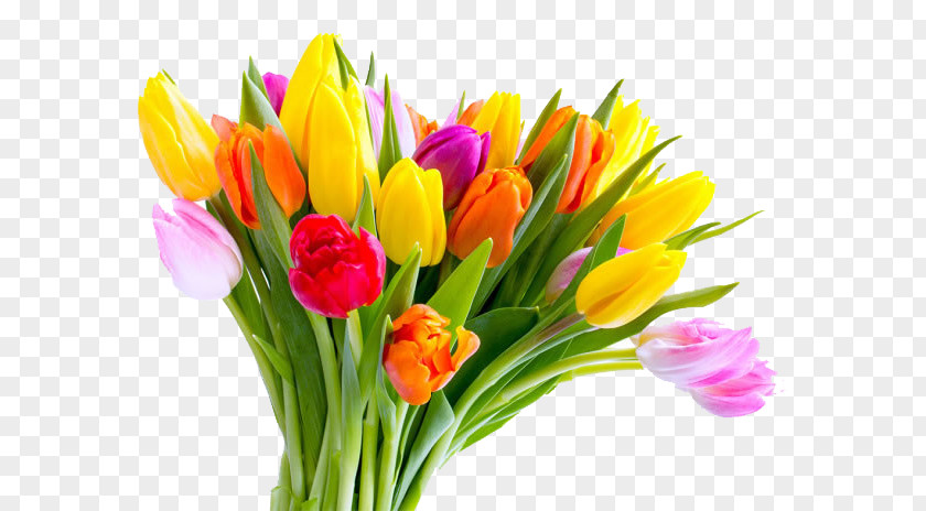 Mothers Day Tulip Flower Bouquet PNG bouquet, Color bouquet of tulips clipart PNG