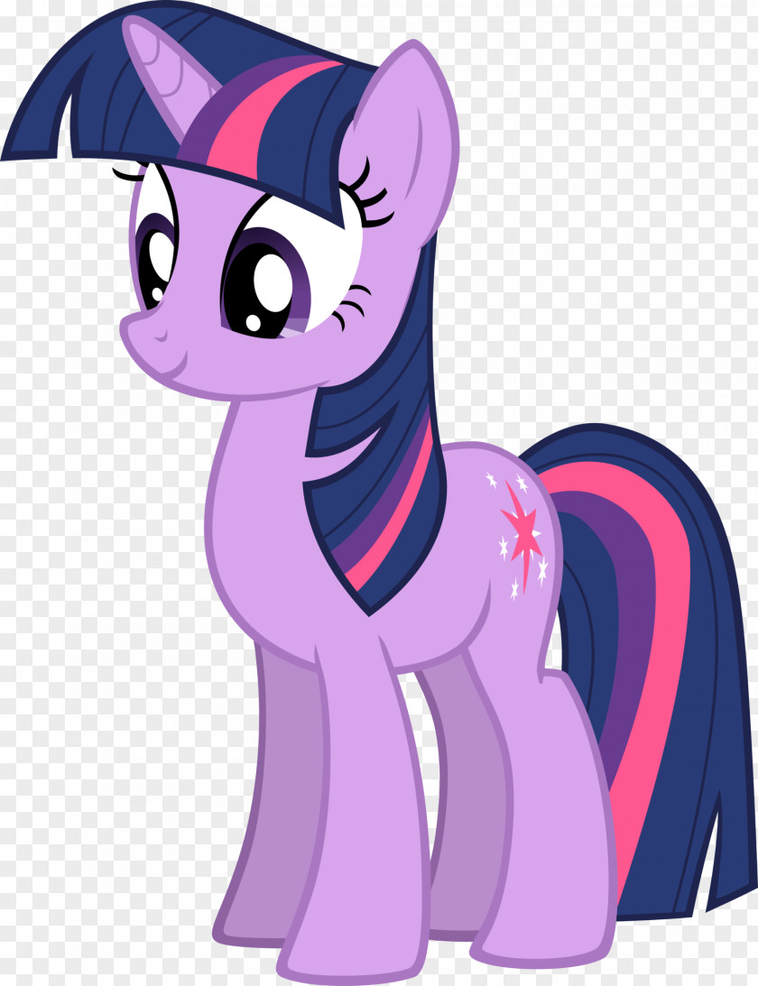 My Little Pony Twilight Sparkle Rainbow Dash Pinkie Pie Rarity PNG