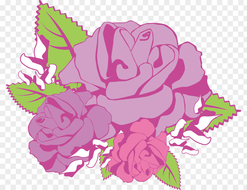 Flower Garden Roses Cabbage Rose Cut Flowers Floral Design PNG