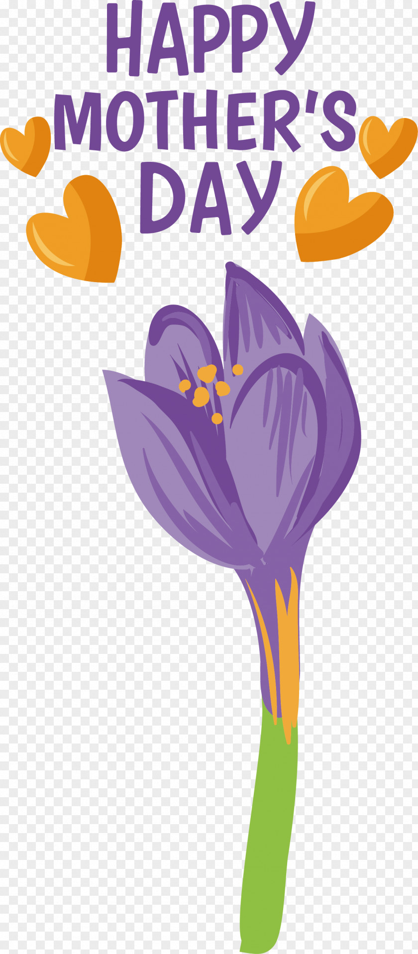 Flower Text Petal Lilac Plant PNG