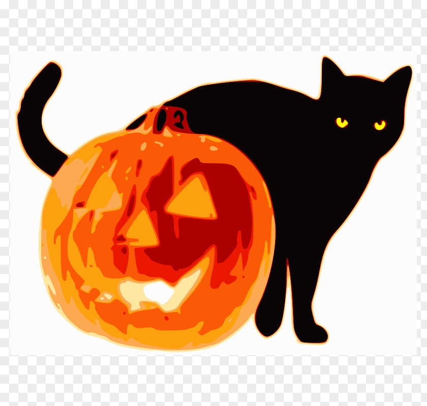 Halloween Cat Pics Jack-o-lantern Pumpkin Clip Art PNG
