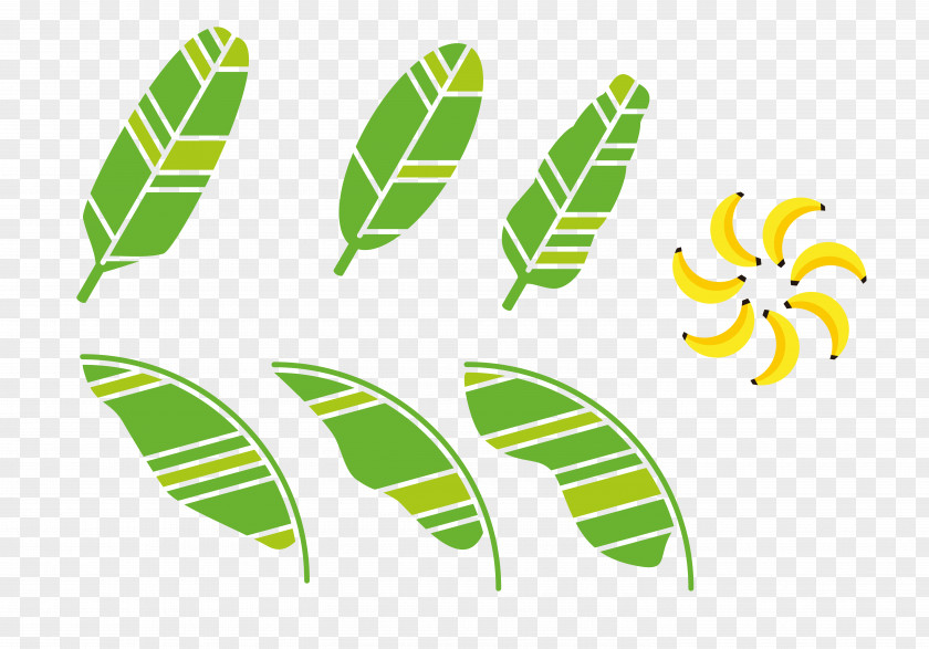 Hand-painted Decorative Green Banana Leaf Download Clip Art PNG