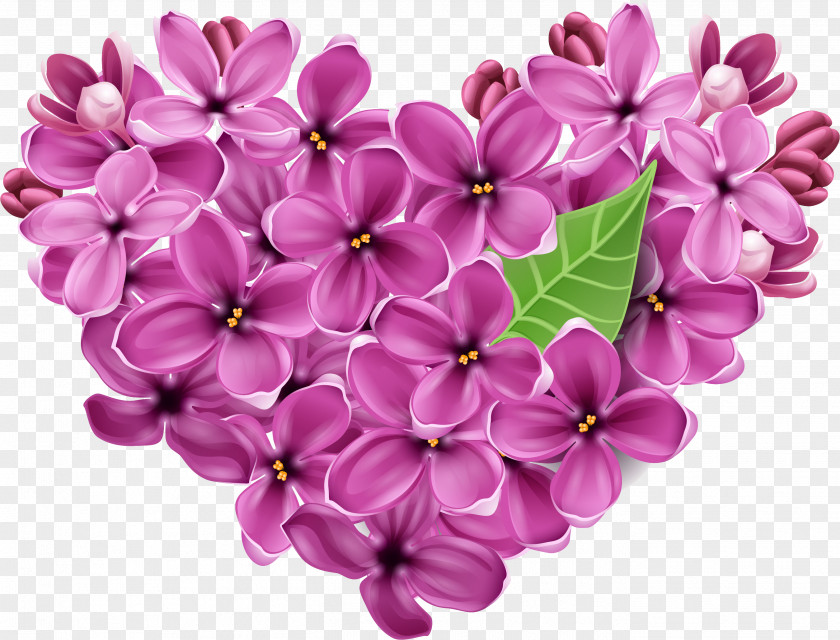 Lilac Flower Violet Heart Floral Design PNG