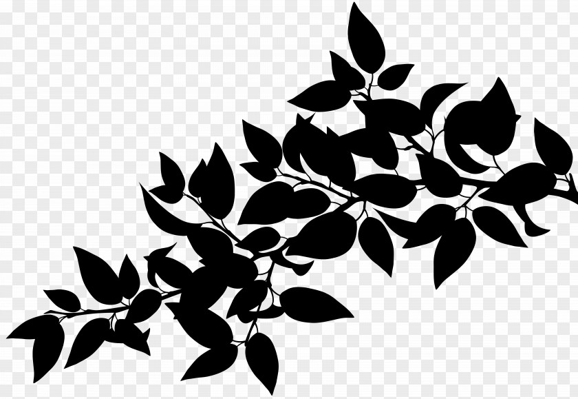 Plant Stem Flower Leaf Pattern Font PNG