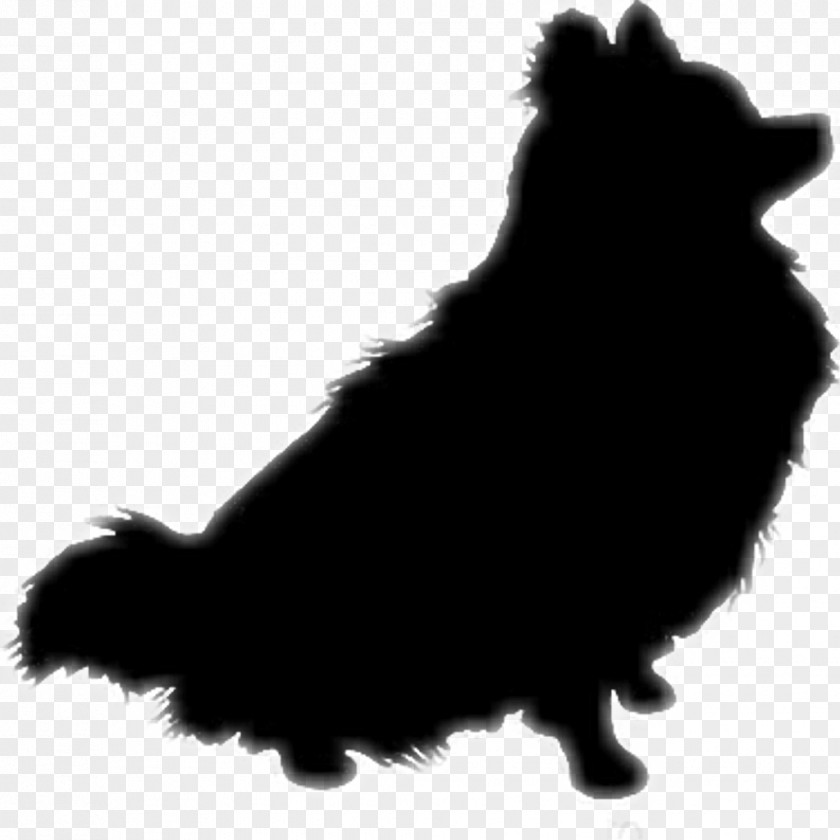 Pomeranian Pennant German Spitz Klein Schipperke Puppy PNG