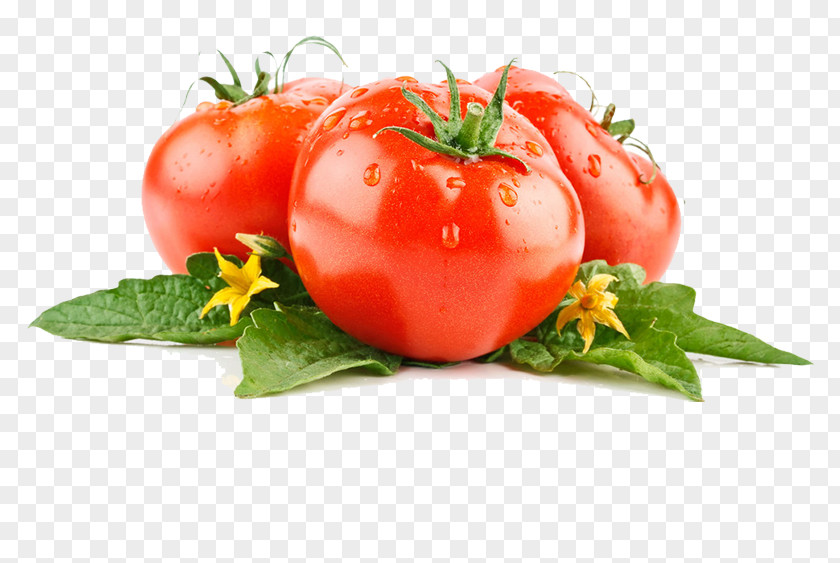 Tomato Vegetable High-definition Video PNG