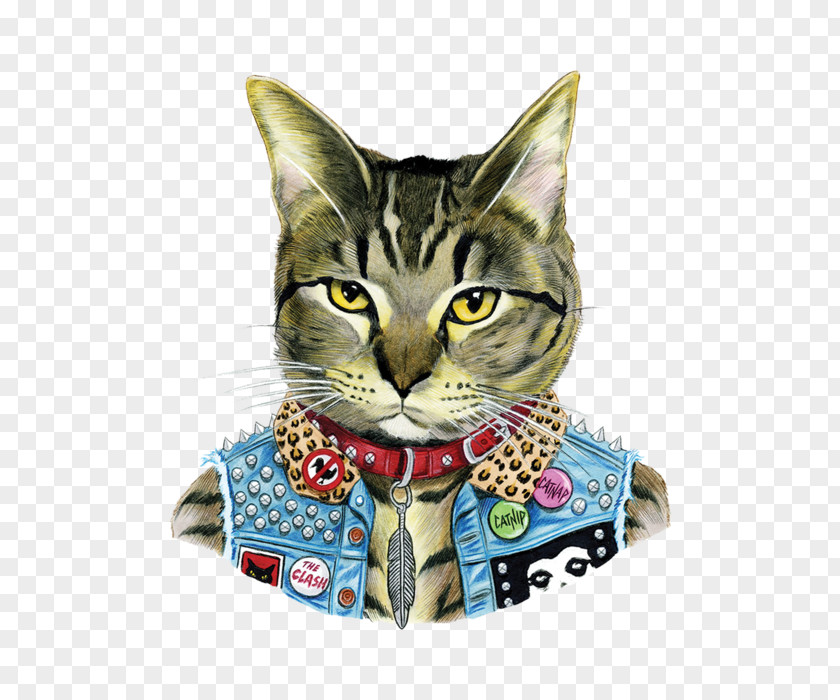 Cat Tabby Punk Rock Subculture Pet PNG
