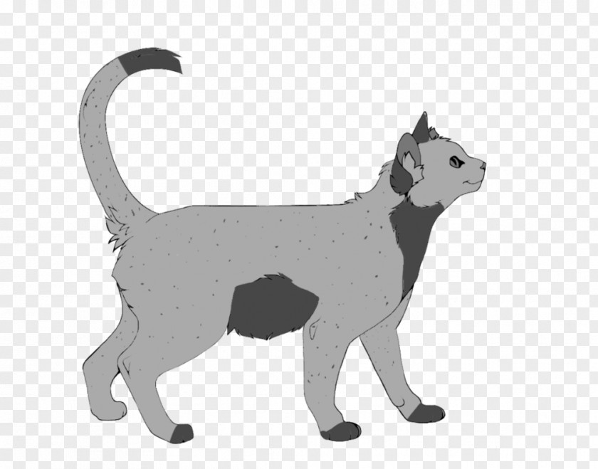 Dog Whiskers Cat Puma Tail PNG