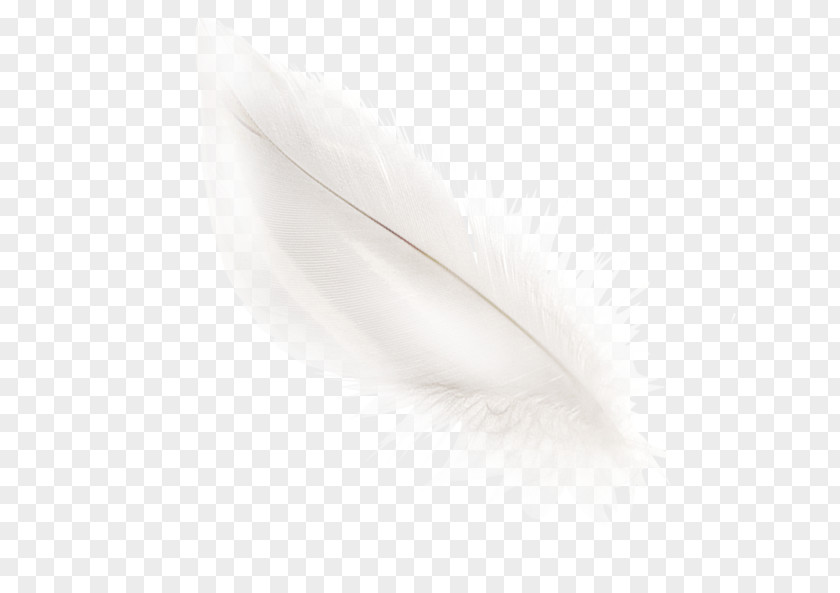 Feather White Material Black PNG