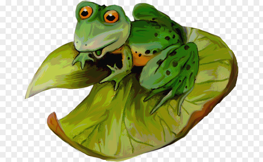 Frog True Clip Art PNG