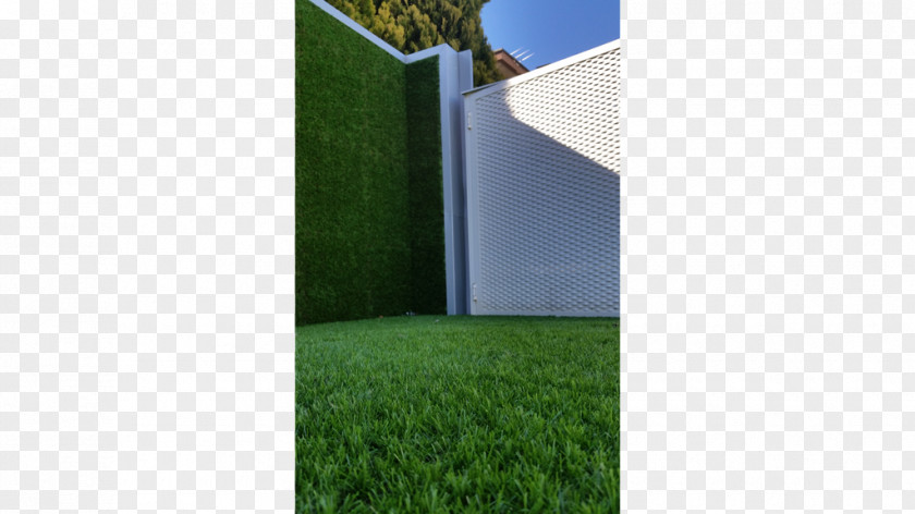 House Artificial Turf Lawn Garden Green Wall Trellis PNG